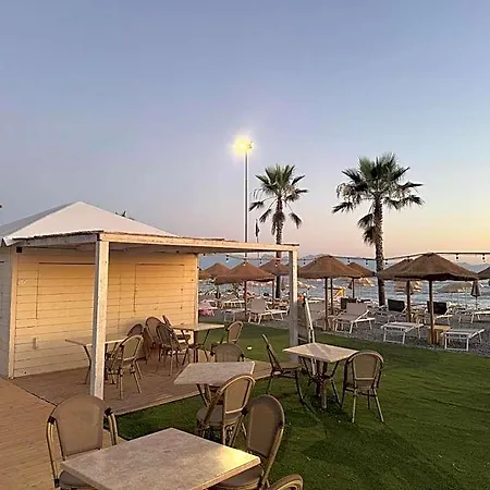Codex Hotel