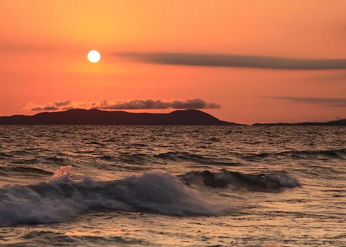 Codex * רוסאנו